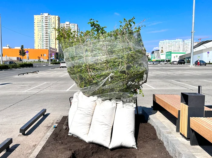 Оформление Аллеи “Космопорт” — фотография 9